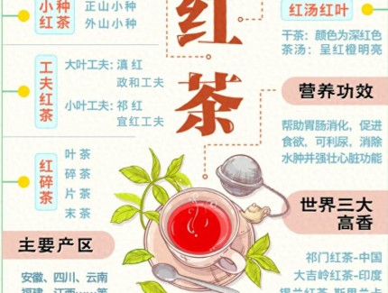 红茶的全知识体系整理，让你秒懂红茶